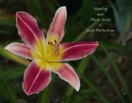 IMG_4083-2.webp