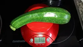 20160718_144933.webp