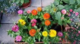 20160718_175507.webp