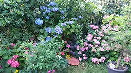 20160718_175442.webp