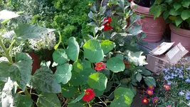 20160718_175522.webp
