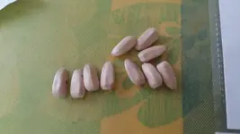 20160419_125504.webp