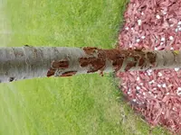 20160718_154625.jpg