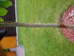 20160718_154630.jpg
