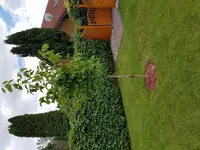 20160718_154638.jpg