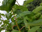 20160718_154655.jpg