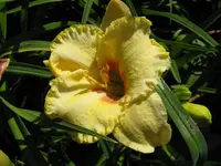 wellspring of wisdom 1_1024x768.webp