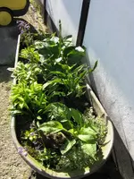 003_576x768.webp