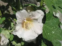 012.webp