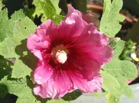 013.webp