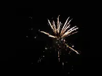P1010168.webp