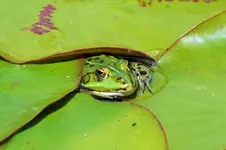 DSCF6840 (2).webp
