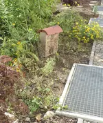 Blumenwieseabgemaeht.webp