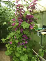 BILD5346.webp