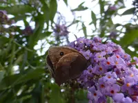 P1210221.webp