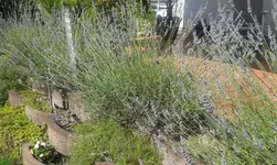 20160719_161439.webp