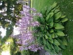 20160719_192112.jpg