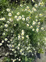 20160718_174108.jpg