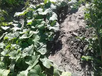 20160718_174045.webp
