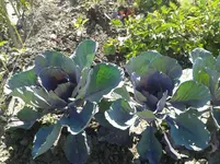 20160718_173953.jpg