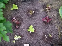 IMGP9560.webp