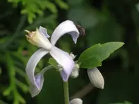 IMGP9578.JPG