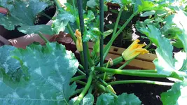20160719_132514.webp
