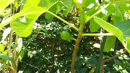 20160719_132351.webp