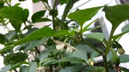 20160718_092733.jpg