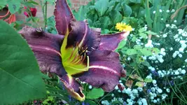 DSC_0138 (2).webp