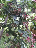BILD5374.webp
