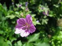 IMG_5056.webp