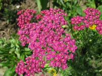 IMG_5058.webp