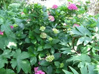 IMG_5061.webp