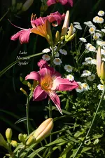 IMG_3413-2.webp