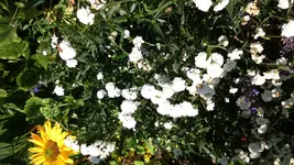DSC_0139.webp