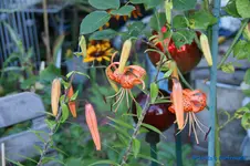 comp_DSC05511.webp