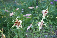 comp_DSC05513.webp