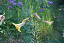 comp_DSC05514.webp