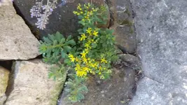 20160720_112324.jpg