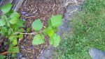 20160720_112345.jpg