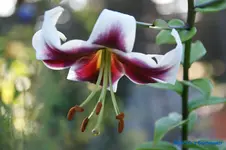 comp_DSC05516.webp