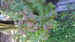 20160720_112400.jpg