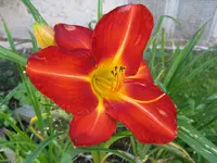 026_1024x768.webp