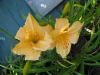 annie welch_1024x768.webp