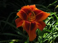 outr_1024x768.webp