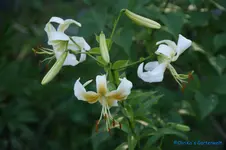 comp_DSC05520.webp