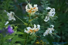 comp_DSC05521.webp