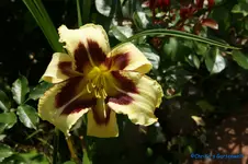 comp_DSC05498.webp