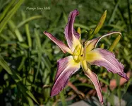 IMG_4265-2.webp